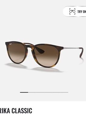 Ray Ban Erika Classic Sunglasses